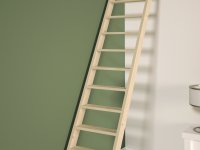 PREMIUM LADDER 275X50 Z. LEUN.