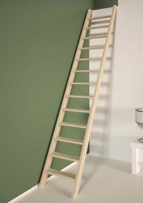 PREMIUM LADDER 275X50 Z. LEUN.